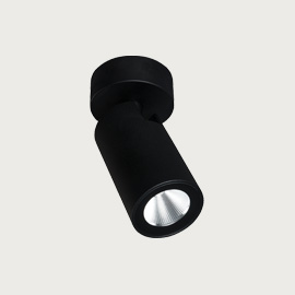 Onyx One Spotlight